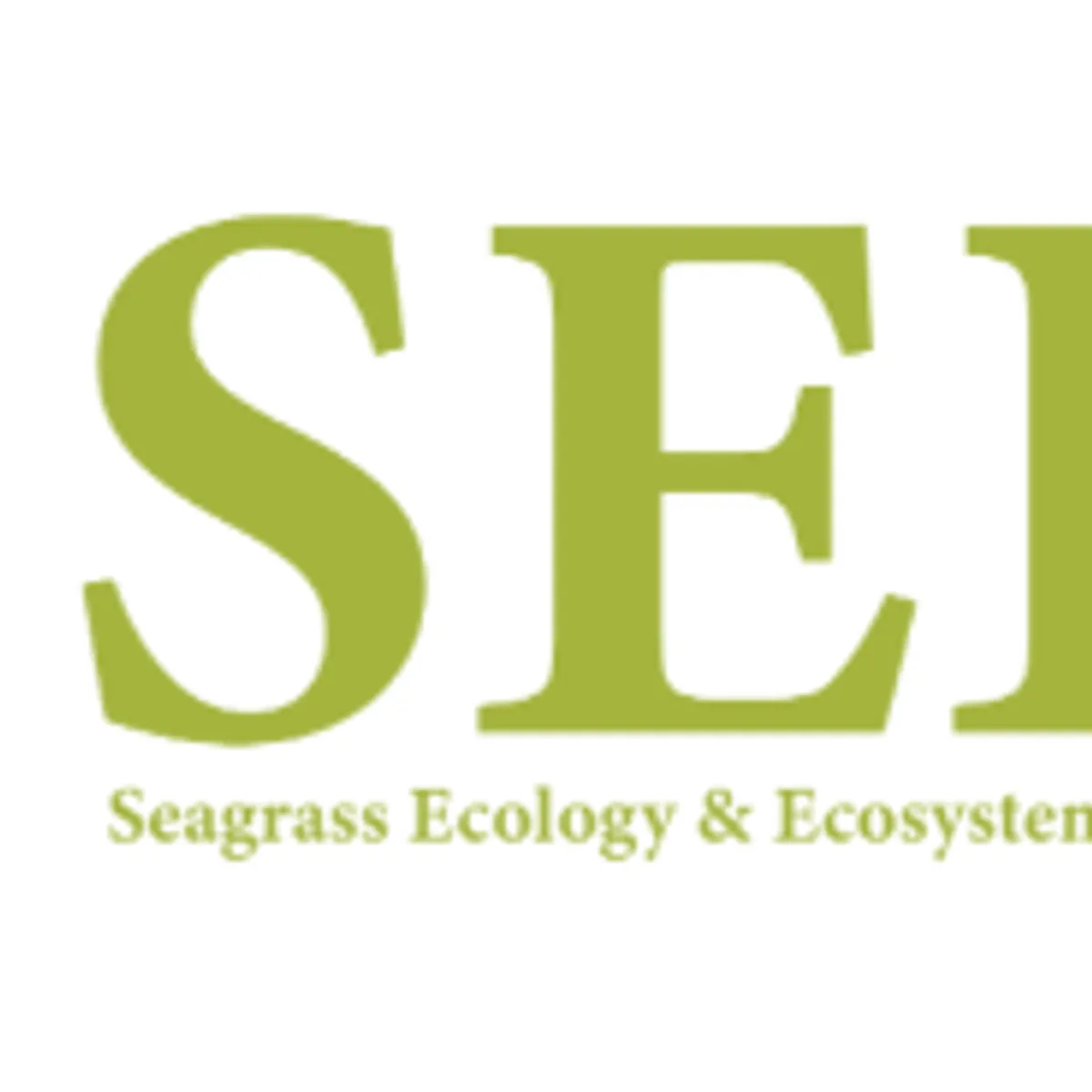 Why Seagrass Matters: The Indian River Lagoon Story