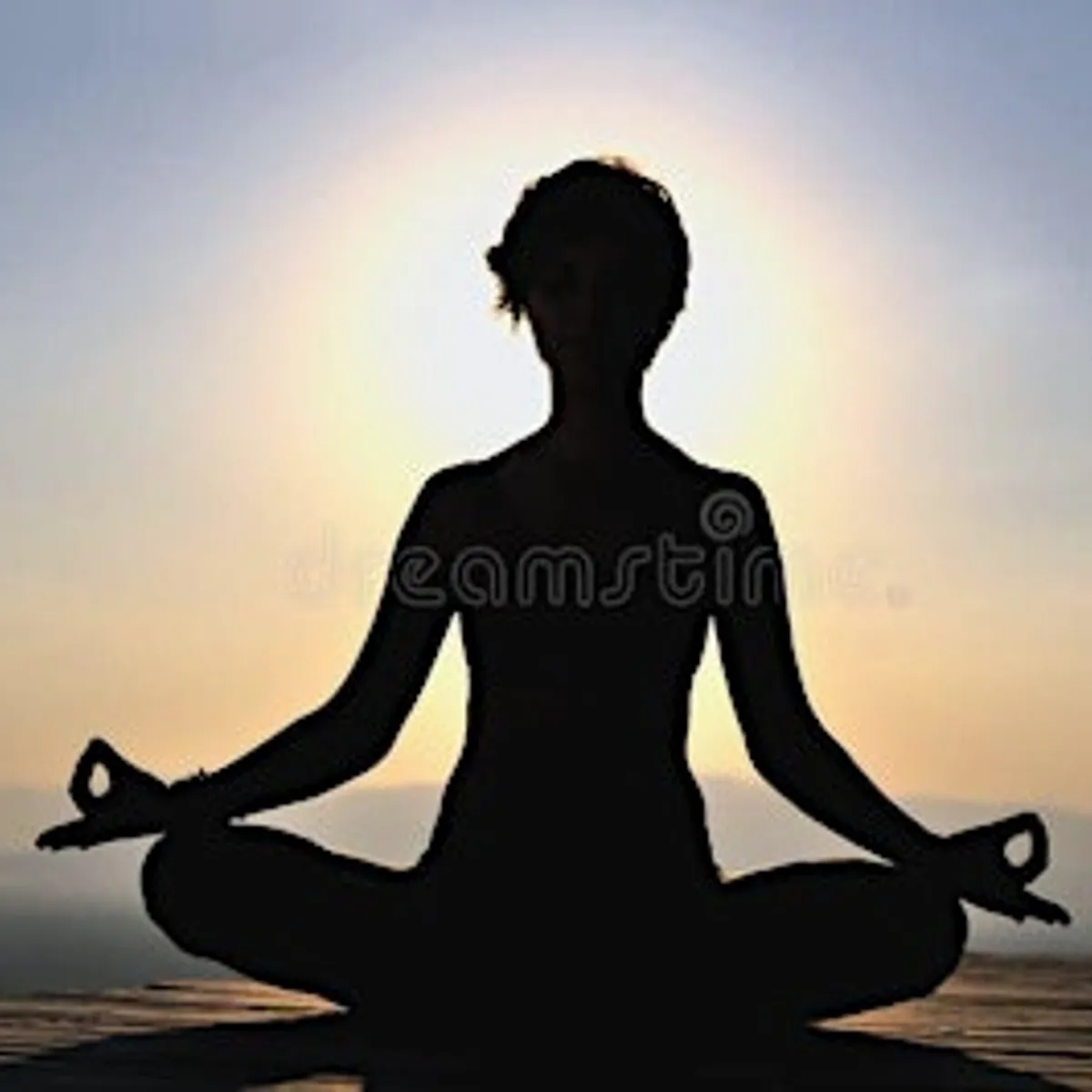 Donation Based Vinyasa Yoga