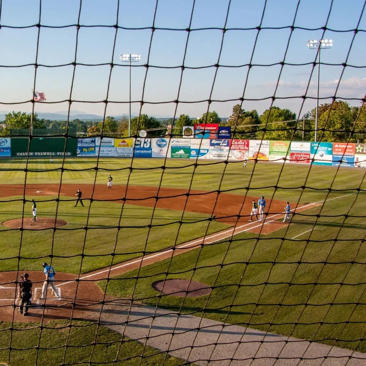 Jupiter Hammerheads vs. Tampa Tarpons