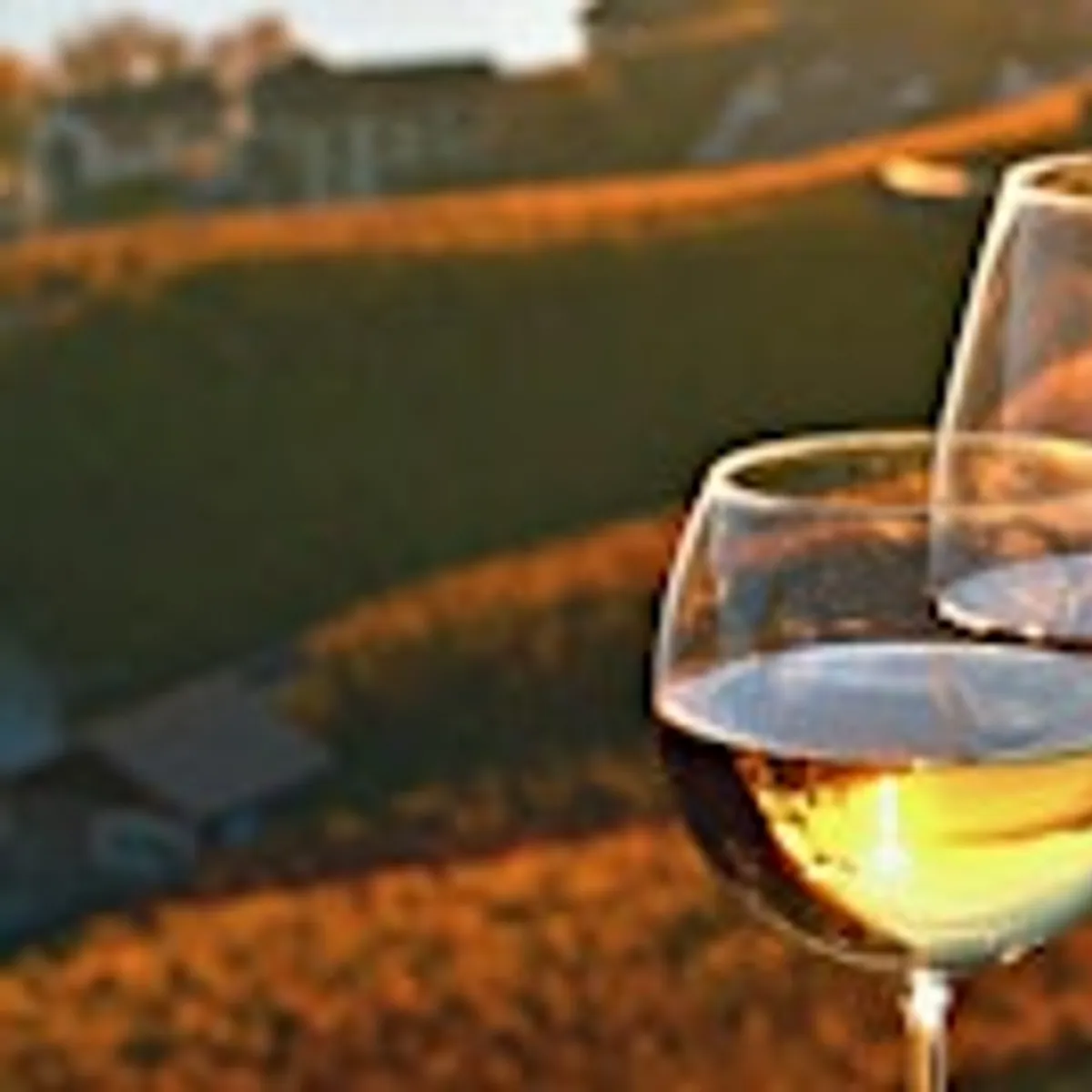 Guided Wine Dinner Experience with Donnafugata