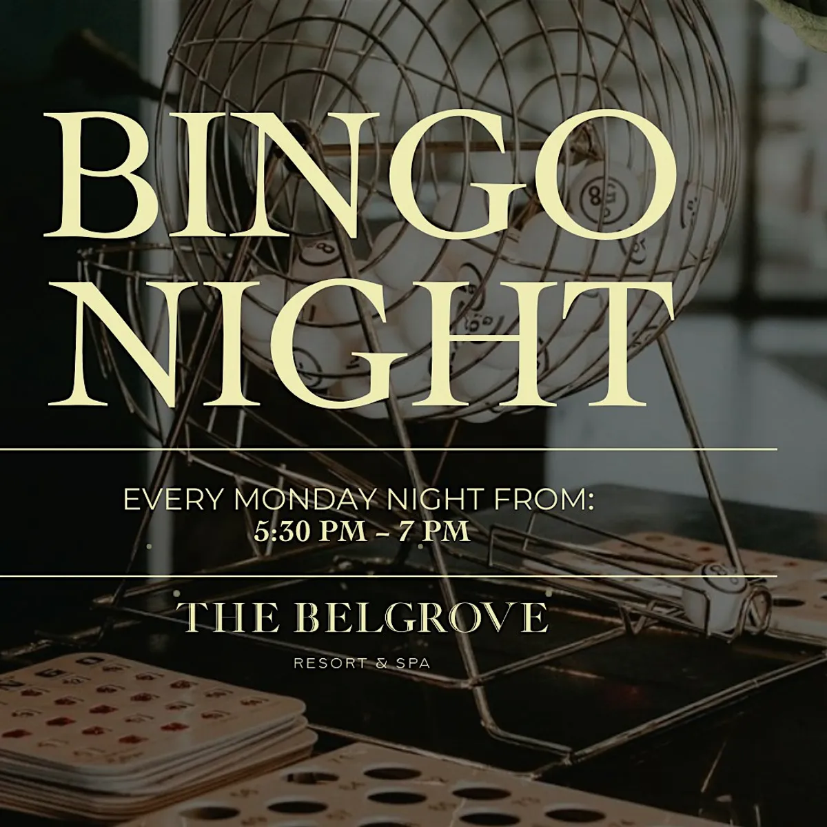 Bingo Night at The Belgrove