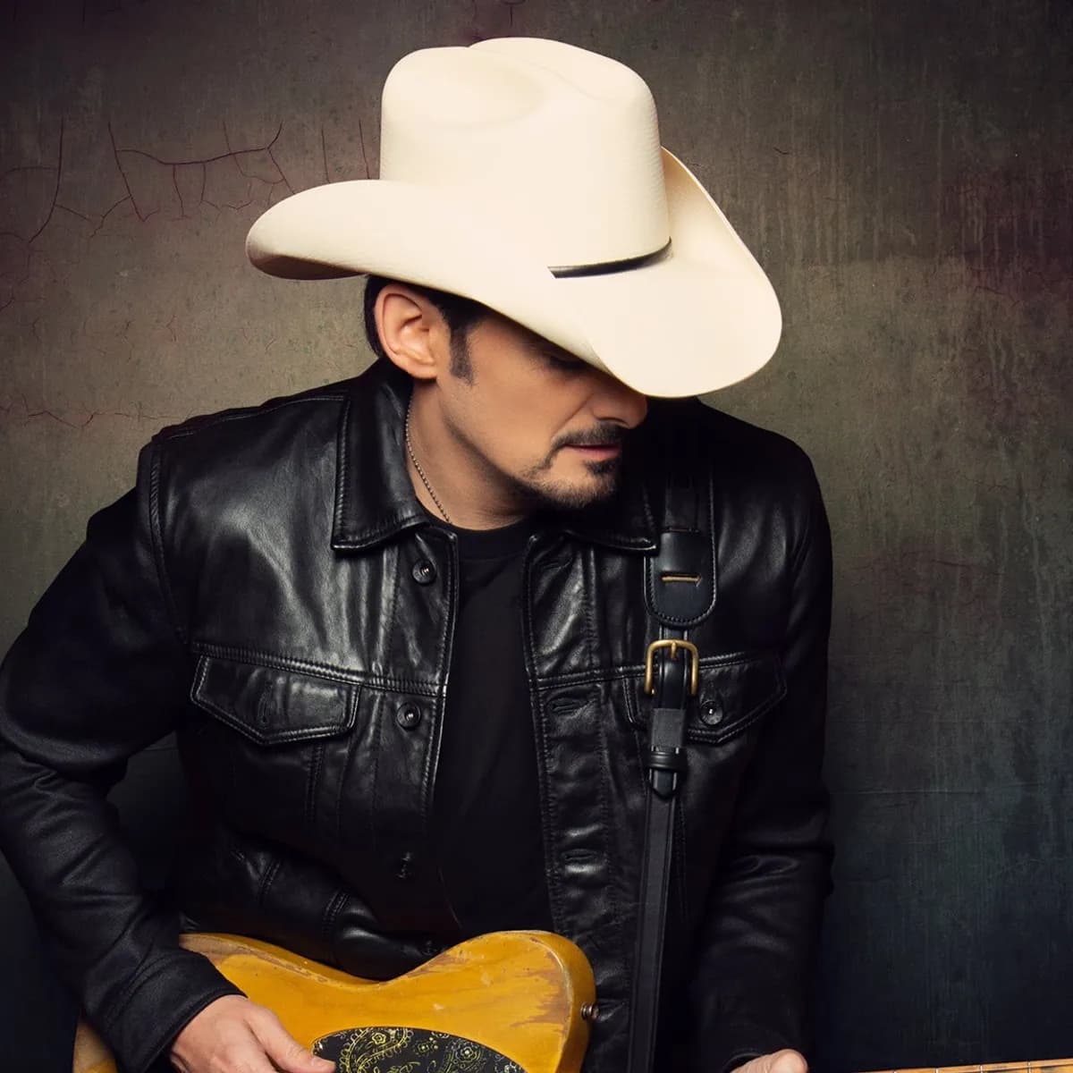 BRAD PAISLEY LIVE