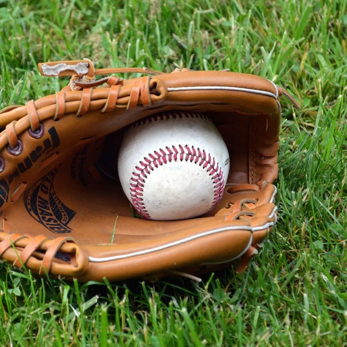 Palm Beach Cardinals vs. Daytona Tortugas
