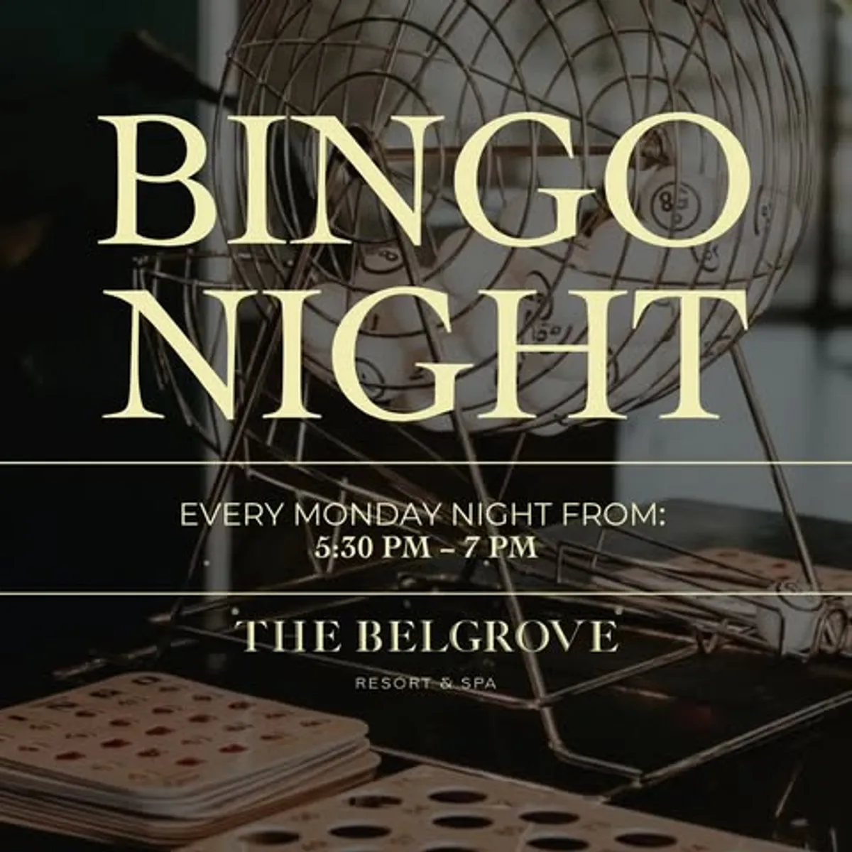Bingo Night at The Belgrove