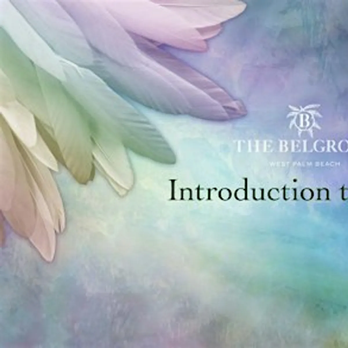 Feel Good Fridays: Intro into Reiki with demo
