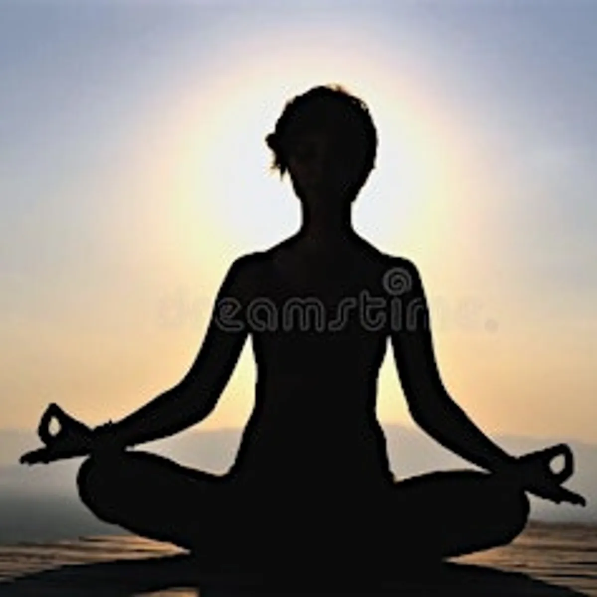 Donation Based Vinyasa Yoga